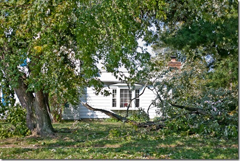 storm damage in Bowie MD, fallen tree limb