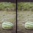 07-22-11_202510