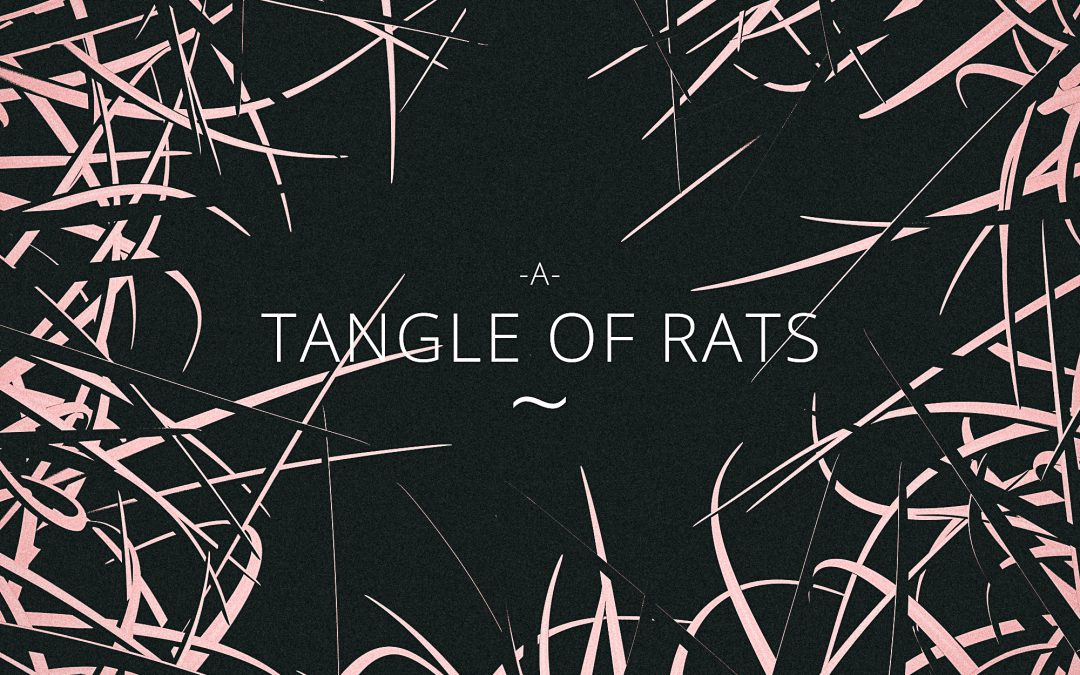 July: A Tangle of Rats