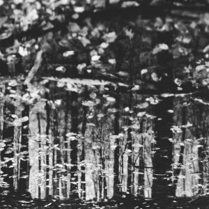 abstract reflections in the water